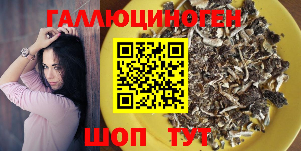 Галлюциногенные грибы MAGIC MUSHROOMS  закладка  Северск  Вход с VPN 