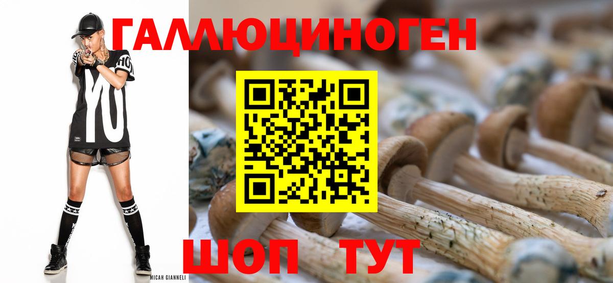 Галлюциногенные грибы Cubensis Северск